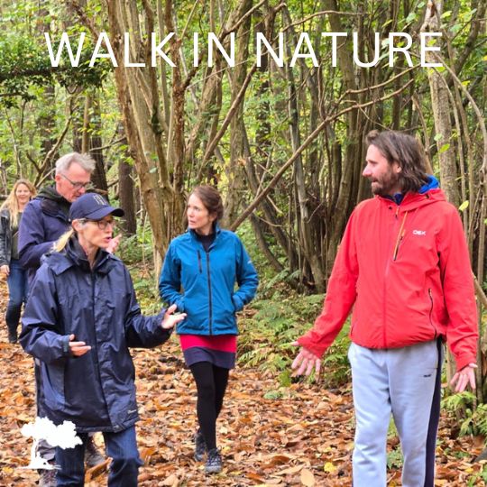 adrian pagdin purpose into action walk