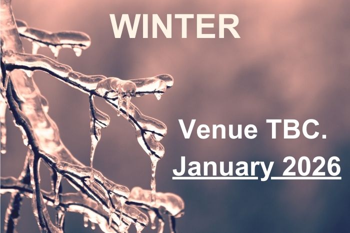 Icy twigs in winter scape